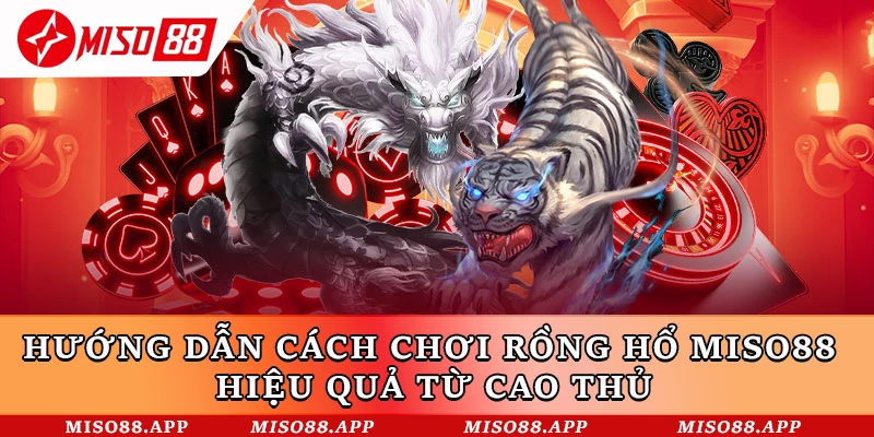 Cách chơi Rồng Hổ online đơn giản dễ dàng