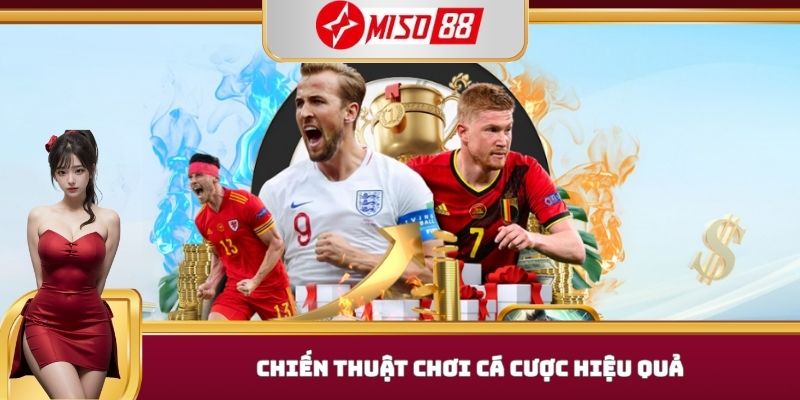 Chiến thuật chơi cá cược hiệu quả 